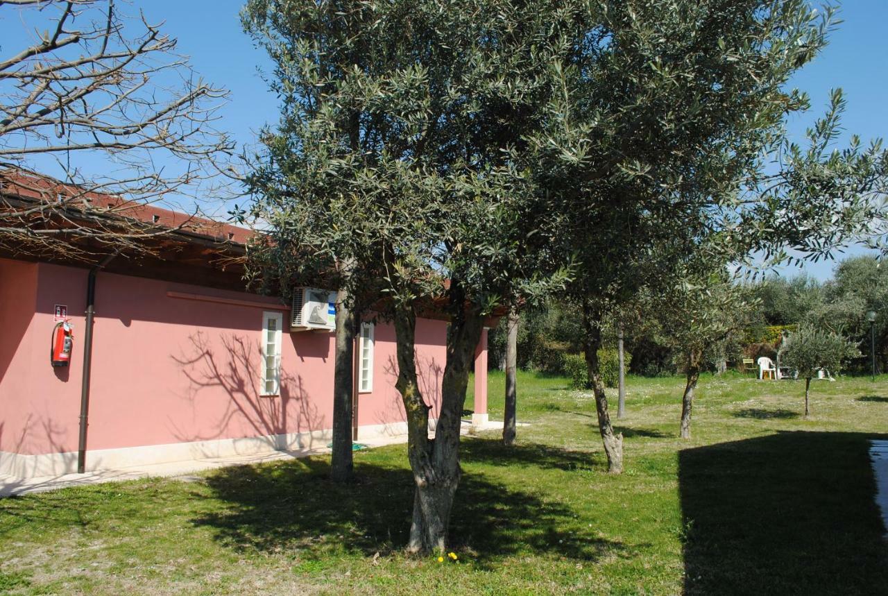 Agriturismo Melograno D'Oro 巴多利诺 外观 照片